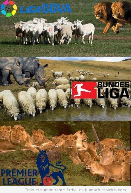 Meme gracioso fútbol, diferencia entre Liga BBVA, Bundesliga y Premier