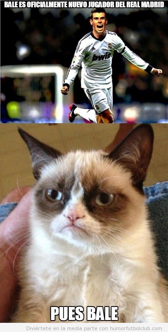 Meme gracioso fútbol, grumoy cat y el fichaje de Bale por el Madrid