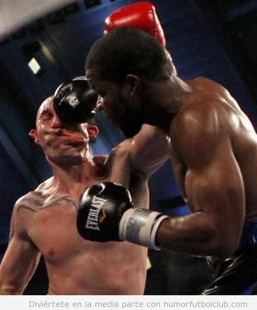 Harvell  da un Puñetazo en un combate de Boxeo acaba en Knockout