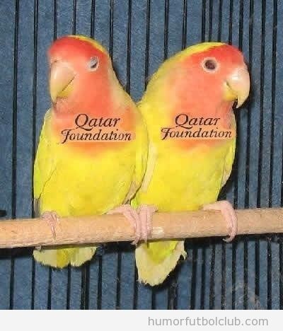 Dos loros amarillo y naranja con logo Qatar Foundation, segunda equipación del Barça