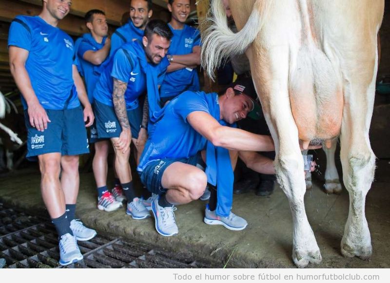 Foto graciosa de los futbolistas del FC Zurich ordeñando una vaca