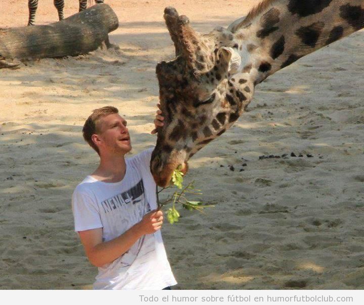 Per Mertesacker dando de comer a una jirafa en sus vacaciones