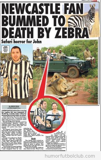 Aficionado camiseta Newcastle confundido con cebra en safari