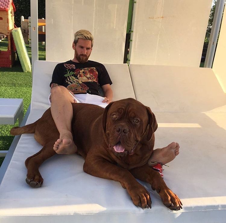 Fotos curiosas evolución Messi y su perro en 9 meses 4